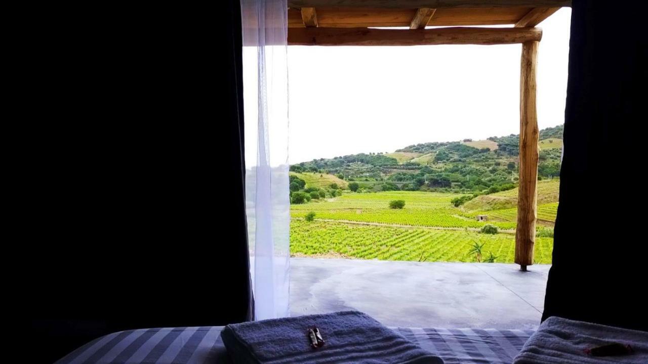 Les Cabanons De Meme Jeannette Bed & Breakfast Port Vendres Exterior photo
